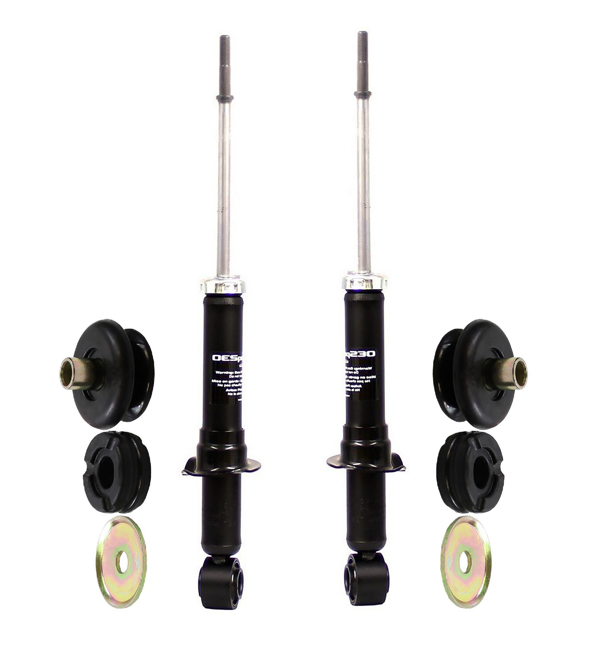 Suspension Strut Assembly Kit - Rear (OESpectrum)